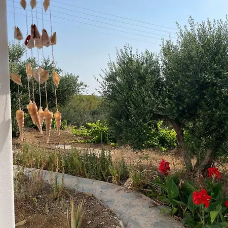 Gorgeous White Marsis In Paros A Serene Escape Glifades